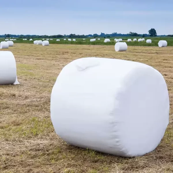 Fardo De Avena Y Vicia Madura 400 Kg - Imagen 4