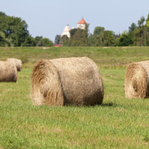 Insumos Agrícolas