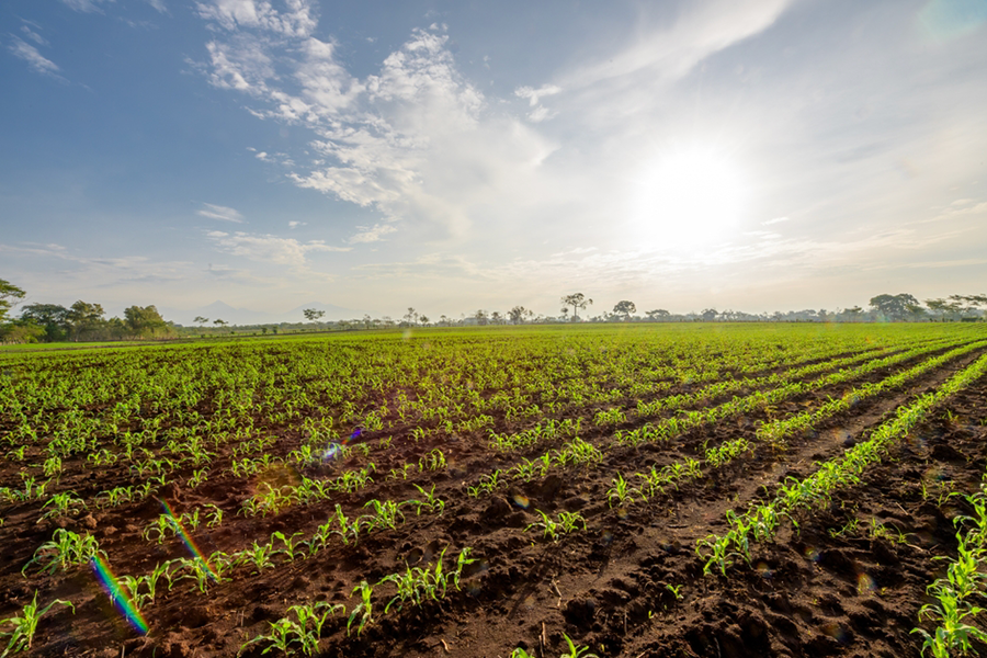 Sermacorp - Maquinaria Agrícola